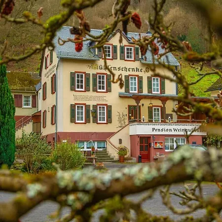 Weingut Muehlenschenke - Game-room, Vineyard, Sauna And Tatil Evi