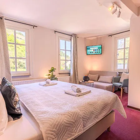 Weingut Muehlenschenke - Game-Room, Vineyard, Sauna And More Prázdninový dům Sankt Goarshausen