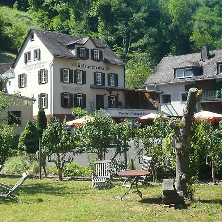 Weingut Muehlenschenke - Game-room, Vineyard, Sauna And