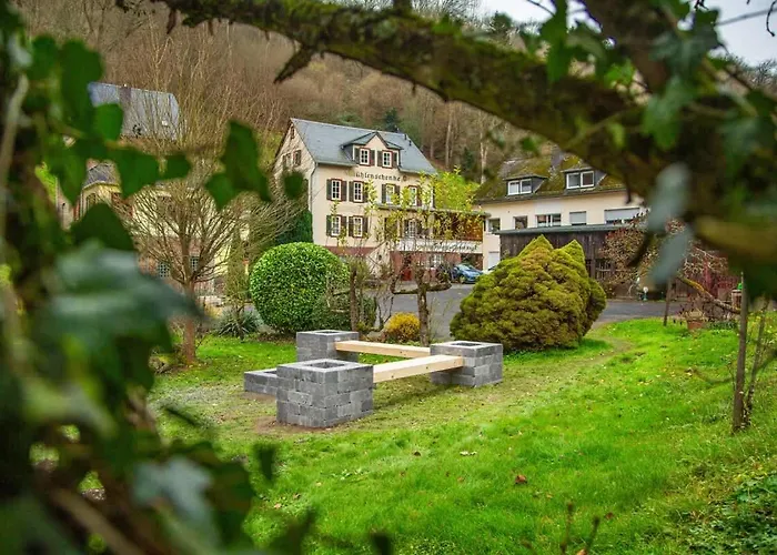 Weingut Muehlenschenke - Game-room, Vineyard, Sauna&more *