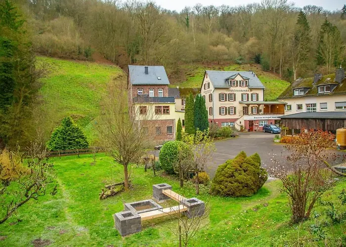 Weingut Muehlenschenke - Game-room, Vineyard, Sauna And