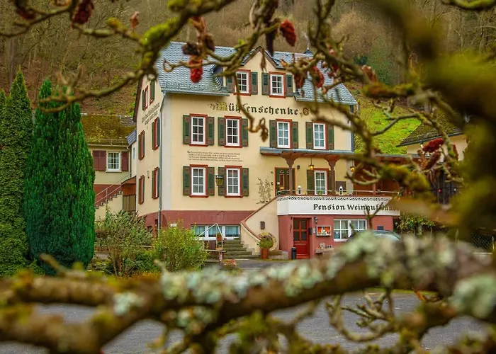 Weingut Muehlenschenke - Game-room, Vineyard, Sauna&more Ferienhaus