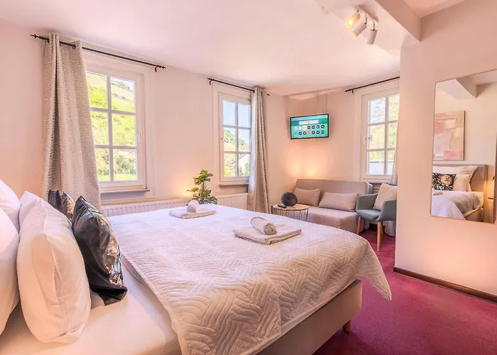 Weingut Muehlenschenke - Game-room, Vineyard, Sauna&more Ferienhaus Sankt Goarshausen