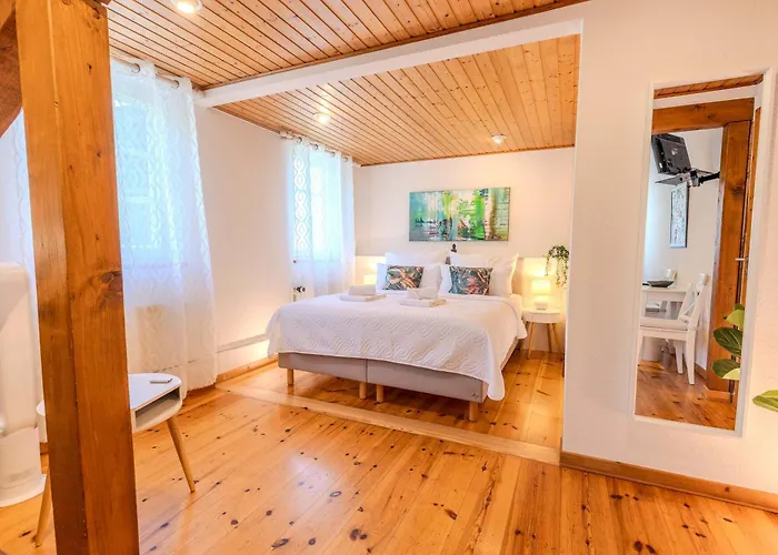 Ferienhaus Weingut Muehlenschenke - Game-room, Vineyard, Sauna&more