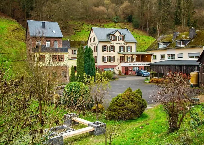 Ferienhaus Weingut Muehlenschenke - Game-room, Vineyard, Sauna&more Sankt Goarshausen