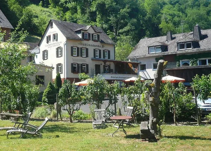 Weingut Muehlenschenke - Game-room, Vineyard, Sauna&more