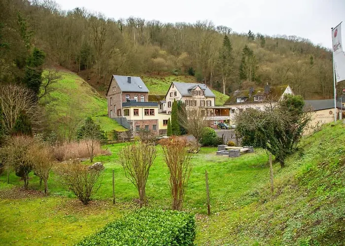 Ferienhaus Weingut Muehlenschenke - Game-room, Vineyard, Sauna&more