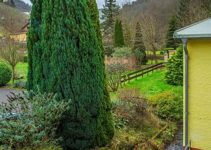 Weingut Muehlenschenke - Game-room, Vineyard, Sauna And *