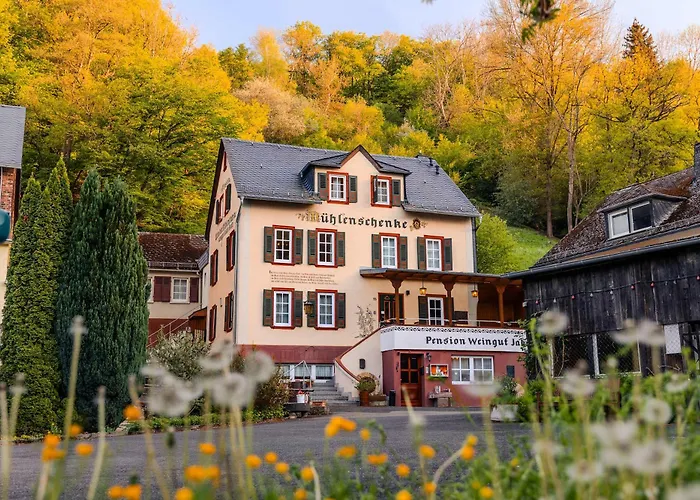 Weingut Muehlenschenke - Game-room, Vineyard, Sauna And * 보드만 루트빅스하펜